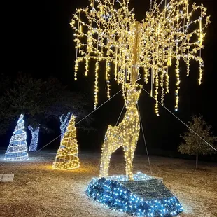 Annual Holiday Lights display; December 2022