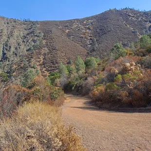 Mitchell Canyon Trail