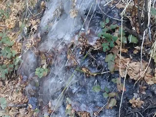 Gateway Mesa Open Space