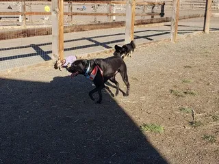 David M. Sonka Dog Park and Westcreek Disc Golf Course