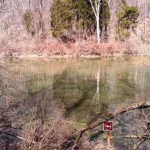 No fishing in the duck pond.