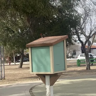 Mitchell, the bird