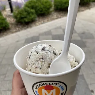 Chocolate coconut almond