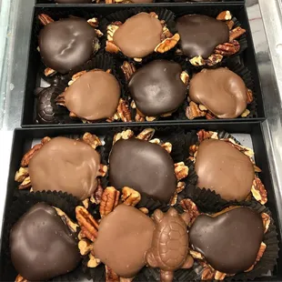 Pecan Turtles - with a bonus mini turtle inside :)