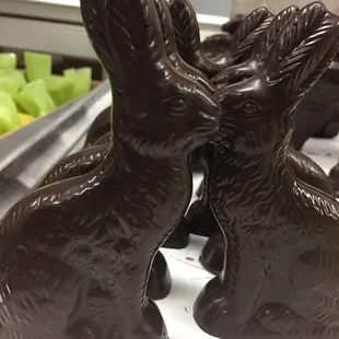Classic Easter bunnies