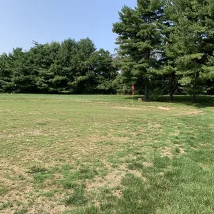 2nd hole green. Note the flag. THIS WAS THE GREEN!