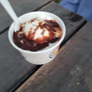mint chip with hot fudge