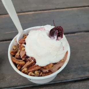 turtle sundae
