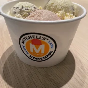 Trio of Fresh Strawberry, Fresh Mint Chocolate Chunk and Cookie Dough