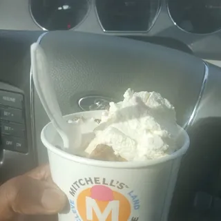 Turtle Sundae