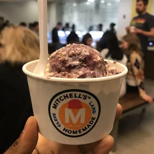 Wildberry Crumble, single scoop ($4.35) -- Mitchell&apos;s Homemade Ice-Cream on 5 March 2022
