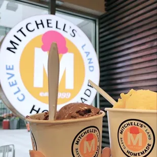 Vegan chocolate and sorbets