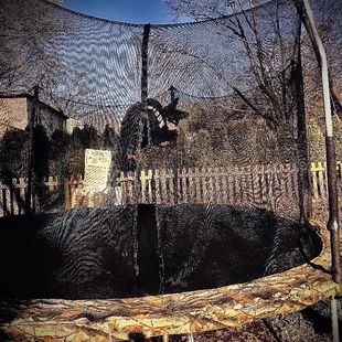 Trampoline