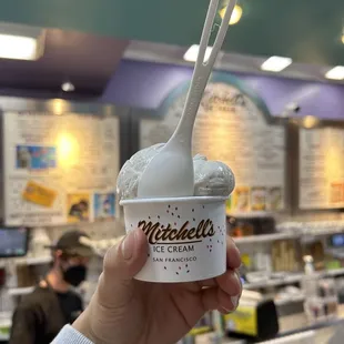 Vanilla Bean, Cantaloupe