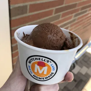 Vegan chocolate ice cream
