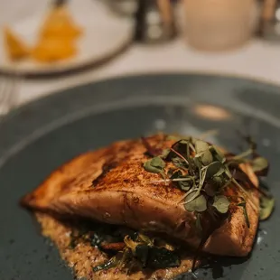 Ora King Salmon