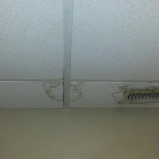 I hope the ceiling tiles are better in the kitchen than they are in the bathroom
