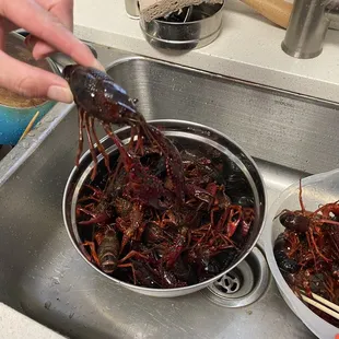 Live crawfish bought at the market. $8.99 a pound! They were huge!!