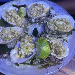 Oysters