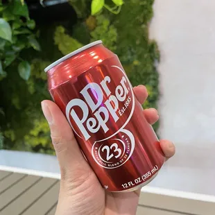 Soda (TikTok: @justandyvu)
