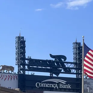 Tiger Country