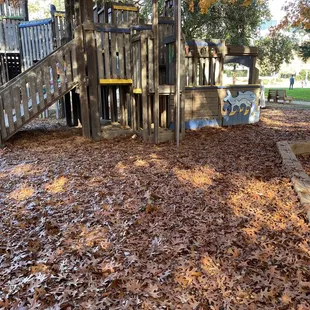There's a lot of leaves at this park