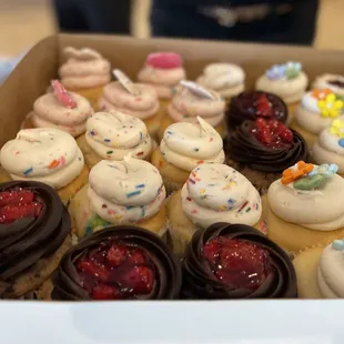 Assorted cupcakes