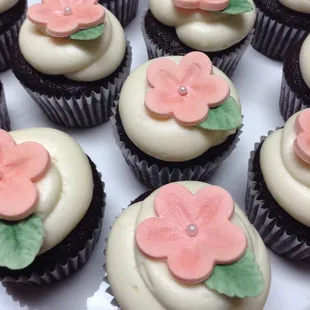 Chocolate Cupcakes with Cream Cheese Frosting