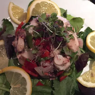 Ensalada de Pulpo