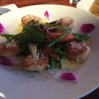 Scallops