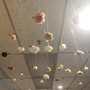Cool ceiling roses!