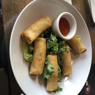 Fresh Spring Roll