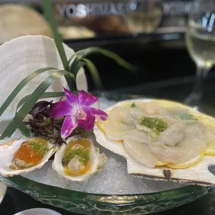 Oysters and live scallop