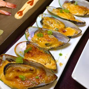 mussels, shellfish, oysters and mussels, oysters, food