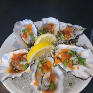 Fresh Oysters