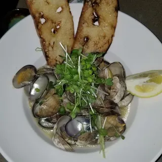 Steamed Clams