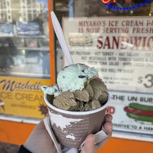 Double scoop in a cup of the Grasshopper (mint choco chip) and hojicha (roasted tea - really good!)