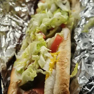 Hot Dogs