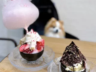 MadLab Kakigori
