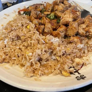 Chicken and Fried Rice