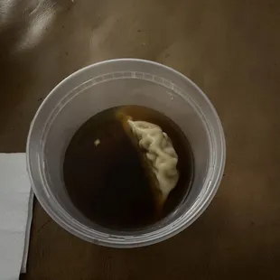&quot;Dumpling Soup&quot;