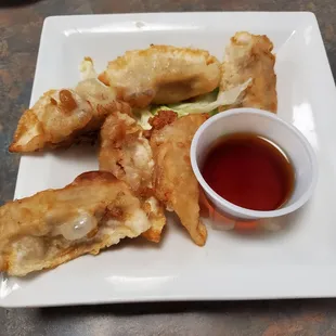 Deep fried dumplings