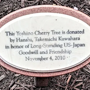This is a dedication marker for one of the Yoshino Cherry Trees.  Photo taken March 25, 2023.