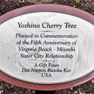 This is a marker for one of the Yoshino Cherry Trees.  Photo taken March 25, 2023.