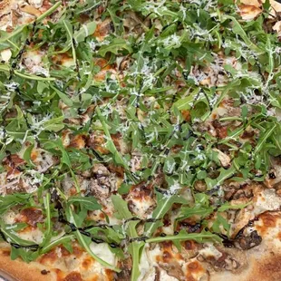 Mushroom Pizza