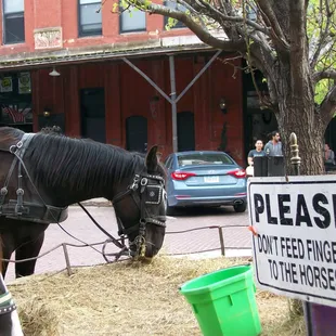 Watch those fingers!