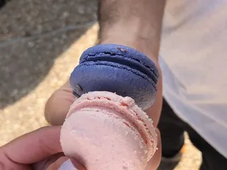 Alchemy Macarons