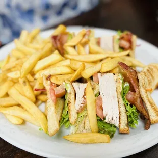 Turkey club, abundance of fries.