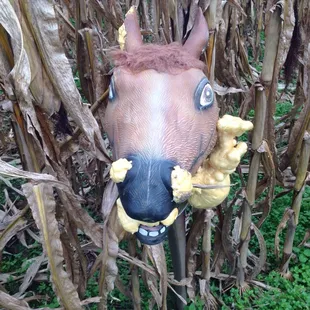 Great place to be. Plain awesome.