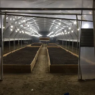 After, ready to grow, with lights fan and exhaust